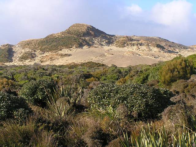 Steward Island 017.jpg